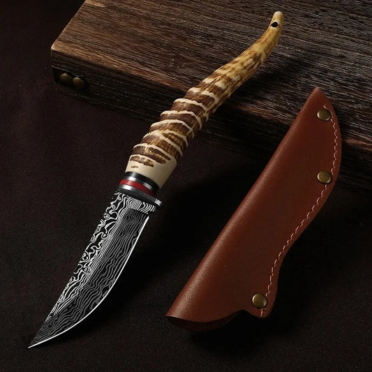 The Hornback